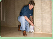 Great Yarmouth pest control